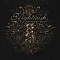 Nightwish ‎– Endless Forms Most Beautiful Plak 2 LP