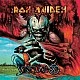 Iron Maiden ‎– Virtual XI Plak 2 LP