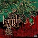 Lamb Of God - Ashes Of The Wake Plak 2 LP