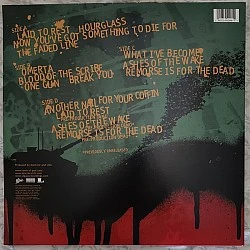 Lamb Of God - Ashes Of The Wake Plak 2 LP