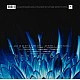 Rammstein - Herzeleid Plak 2 LP