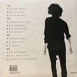 Laura Pergolizzi / LP ‎– Lost on You (Bej Renkli) Plak 2 LP
