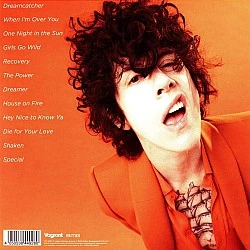 Laura Pergolizzi / LP ‎– Heart To Mouth (Turuncu Renkli) Plak