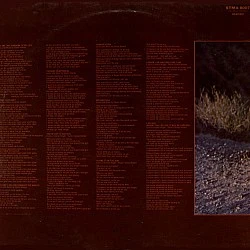 Stevie Wonder ‎– Talking Book Plak LP