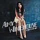 Amy Winehouse - Back to Black Plak LP