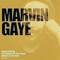 Marvin Gaye - The Collection CD