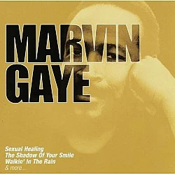 Marvin Gaye - The Collection CD