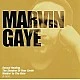 Marvin Gaye - The Collection CD