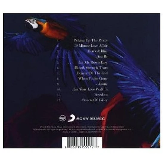 Paloma Faith - Fall To Grace Plak 2 LP