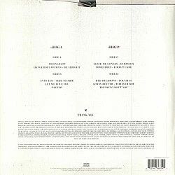Ariana Grande - Dangerous Woman Plak 2 LP