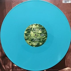 Celine Dion ‎– The Colour Of My Love Turkuaz Renkli Plak 2 LP
