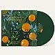 Lana Del Rey ‎– Violet Bent Backwards Over The Grass (Yeşil Renkli) Plak LP