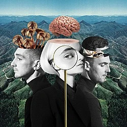 Clean Bandit ‎– What Is Love  (Kırmızı Renkli) Plak 2 LP