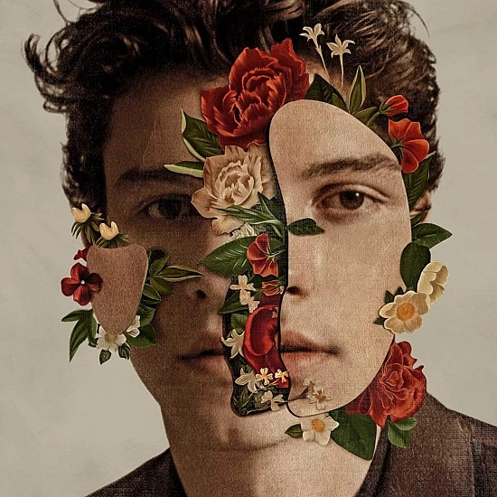 Shawn Mendes - Shawn Mendes Plak LP