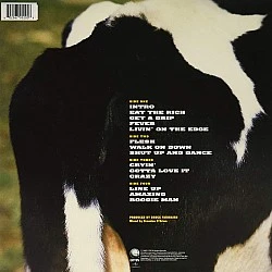 Aerosmith ‎– Get A Grip (Beyaz Renkli) Plak 2 LP