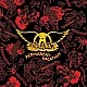 Aerosmith - Permanent Vacation Plak LP