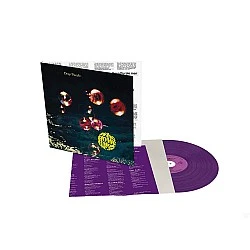 Deep Purple ‎– Who Do We Think We Are (Mor Renkli) Plak LP