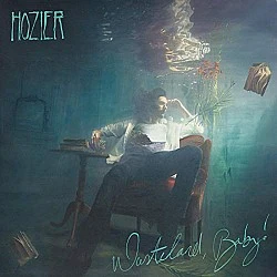Hozier ‎– Wasteland, Baby! Plak 2 LP