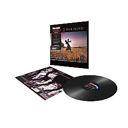 Pink Floyd - A Collection Of Great Dance Songs Plak LP
