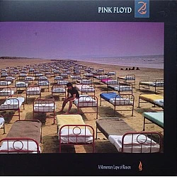 Pink Floyd ‎– A Momentary Lapse Of Reason Plak LP