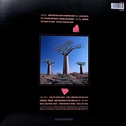 Pink Floyd - Delicate Sound Of Thunder Plak 2 LP