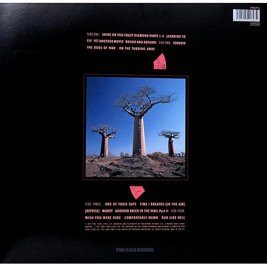 Pink Floyd - Delicate Sound Of Thunder Plak 2 LP