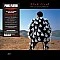 Pink Floyd - Delicate Sound Of Thunder Plak 2 LP