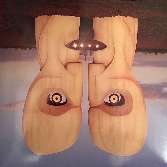 Pink Floyd - The Division Bell Plak 2 LP