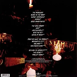 Testament ‎– Live At The Fillmore Plak 2 LP