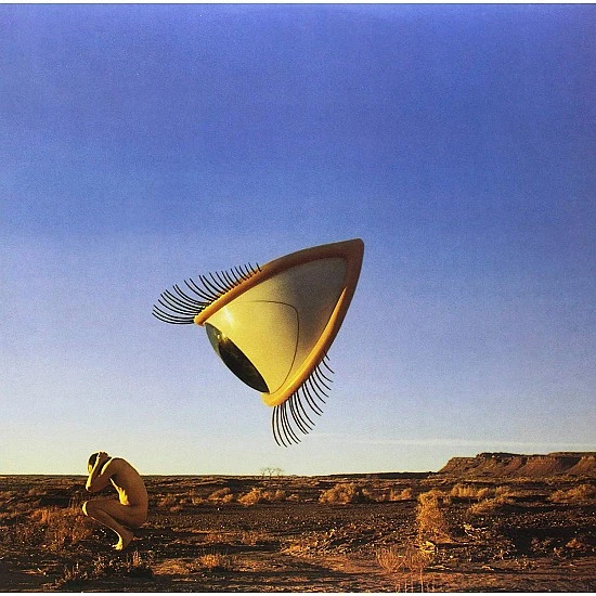 The Cranberries ‎– Bury The Hatchet Plak 2 LP