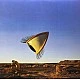 The Cranberries ‎– Bury The Hatchet Plak 2 LP