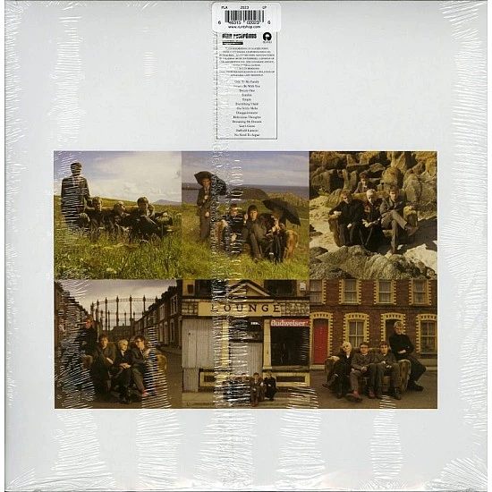 The Cranberries ‎– No Need To Argue (Turkuaz Renkli) Plak LP