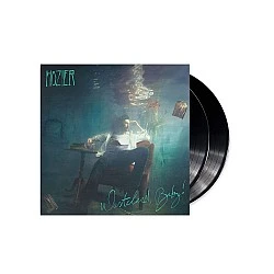Hozier ‎– Wasteland, Baby! Plak 2 LP