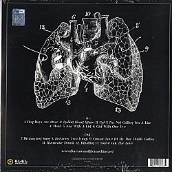 Florence + The Machine ‎– Lungs (Bordo Renkli) Plak LP