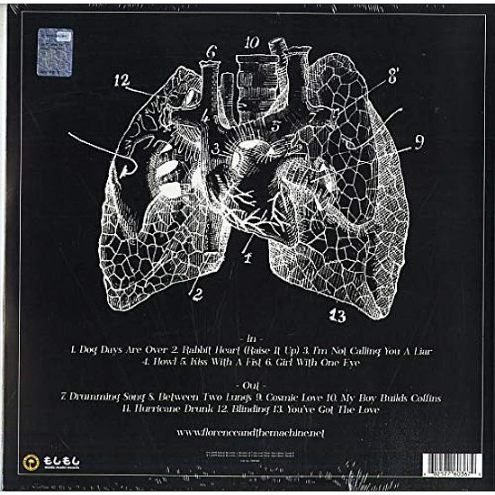 Florence + The Machine ‎– Lungs (Bordo Renkli) Plak LP