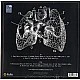 Florence + The Machine ‎– Lungs (Bordo Renkli) Plak LP