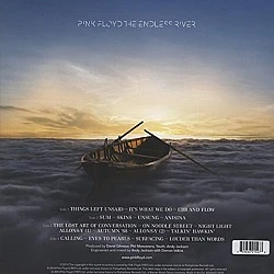 Pink Floyd - The Endless River Plak 2 LP