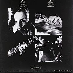 The Cranberries ‎–Everybody Else Is Doing It, So Why Can't We? Plak LP (Analog Spark Baskısı)