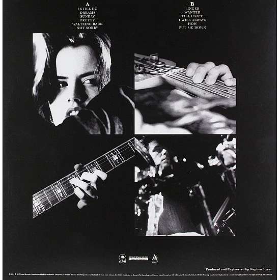 The Cranberries ‎–Everybody Else Is Doing It, So Why Can't We? Plak LP (Analog Spark Baskısı)