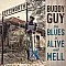 Buddy Guy - The Blues Is Alive And Well Plak 2 LP