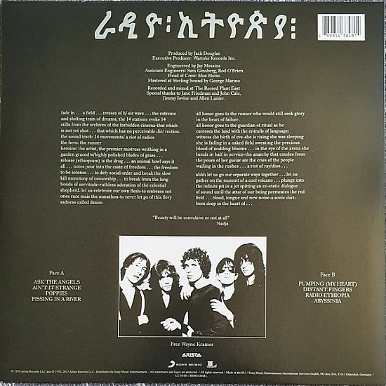 Patti Smith Group - Radio Ethiopia Plak LP