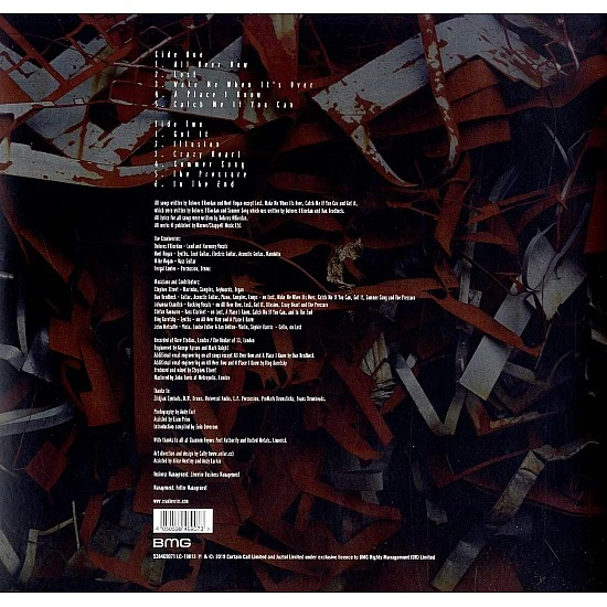 The Cranberries ‎– In The End  Plak (Picture Disc) LP