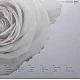 Depeche Mode - The Best Of (Volume 1) Plak 3 LP