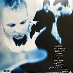 Evanescence - Fallen Plak LP