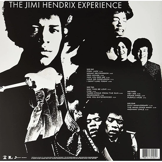 Jimi Hendrix - Are You Experienced Plak 2 LP