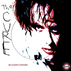 The Cure ‎– Bloodflowers (Picture Disc - RSD 2020) Plak 2 LP