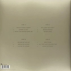 Florence + The Machine - Ceremonials Plak 2 LP