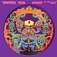 The Grateful Dead ‎– Anthem Of The Sun Plak (Picture Disc) LP