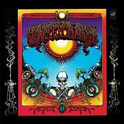 The Grateful Dead - Aoxomoxoa Plak  LP