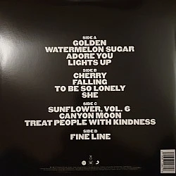Harry Styles - Fine Line Plak 2 LP